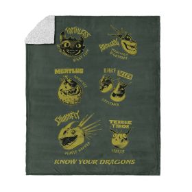How to Train Your Dragon Know Your Dragons Silk Touch Sherpa Throw Blanket 50x60 inches